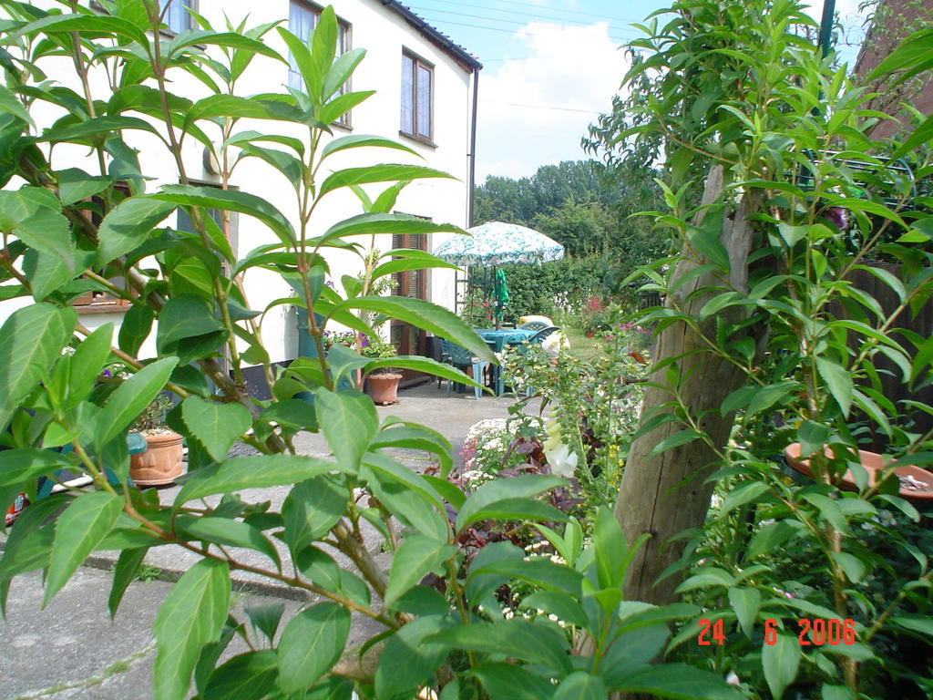 The Elms Acomodação com café da manhã East Harling Exterior foto