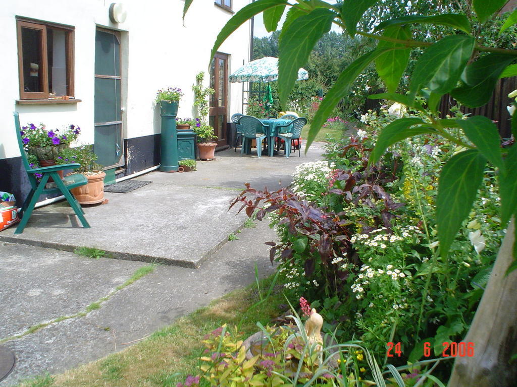 The Elms Acomodação com café da manhã East Harling Exterior foto